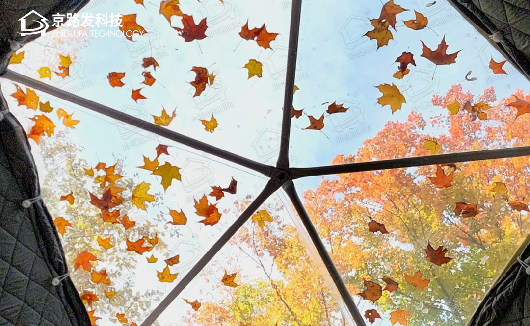 加拿大星空帐篷秋季图片反响